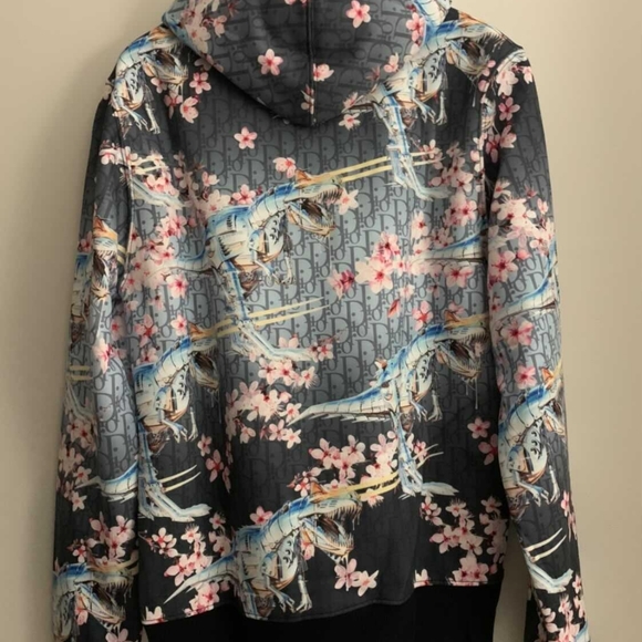 COPY - Dior x Sorayama oblique T-Rex hoodie - Picture 8 of 9